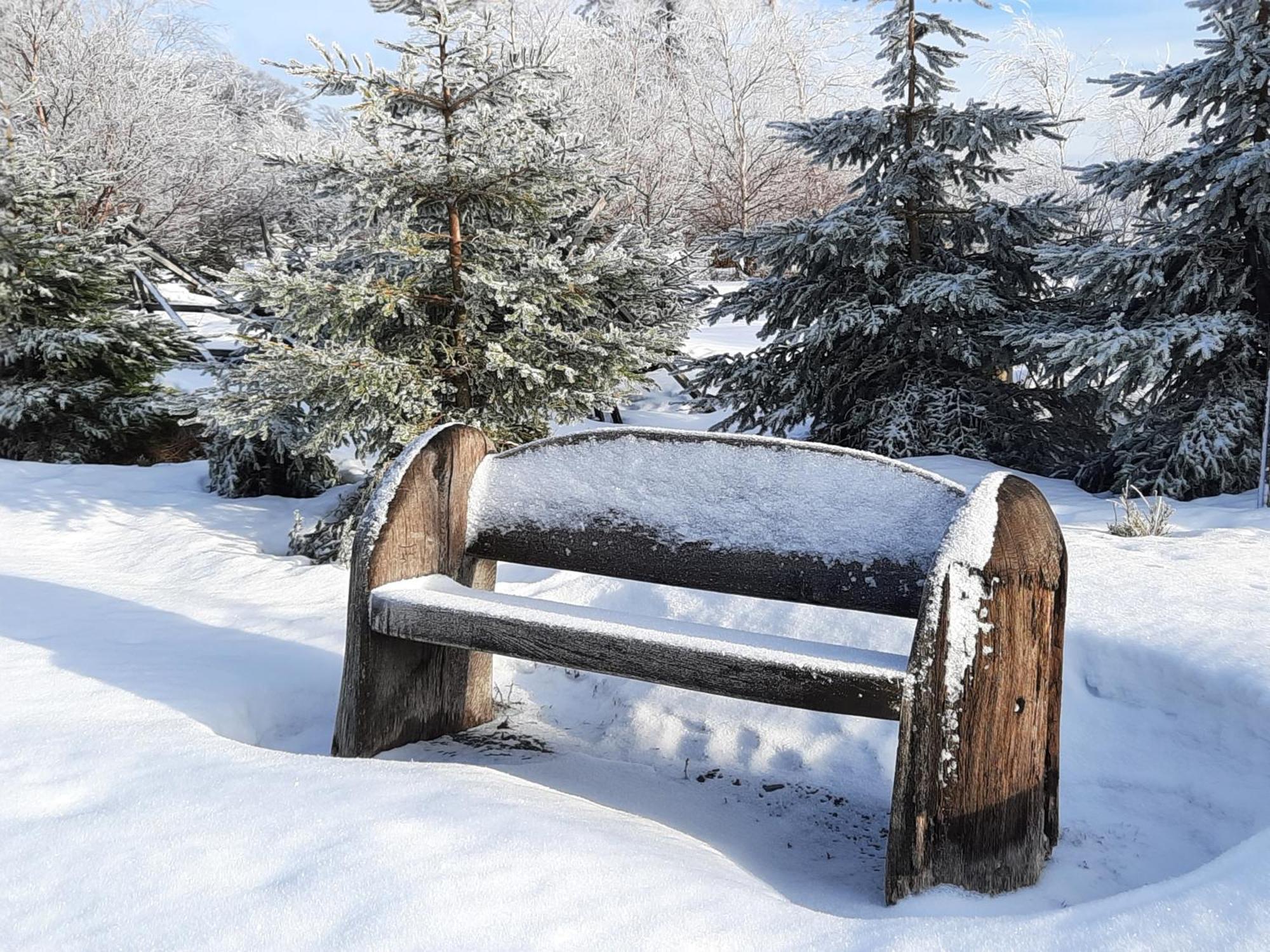 Cafe- Pension Fernblick, Incl Meinecardplus Willingen (Upland) Exterior foto